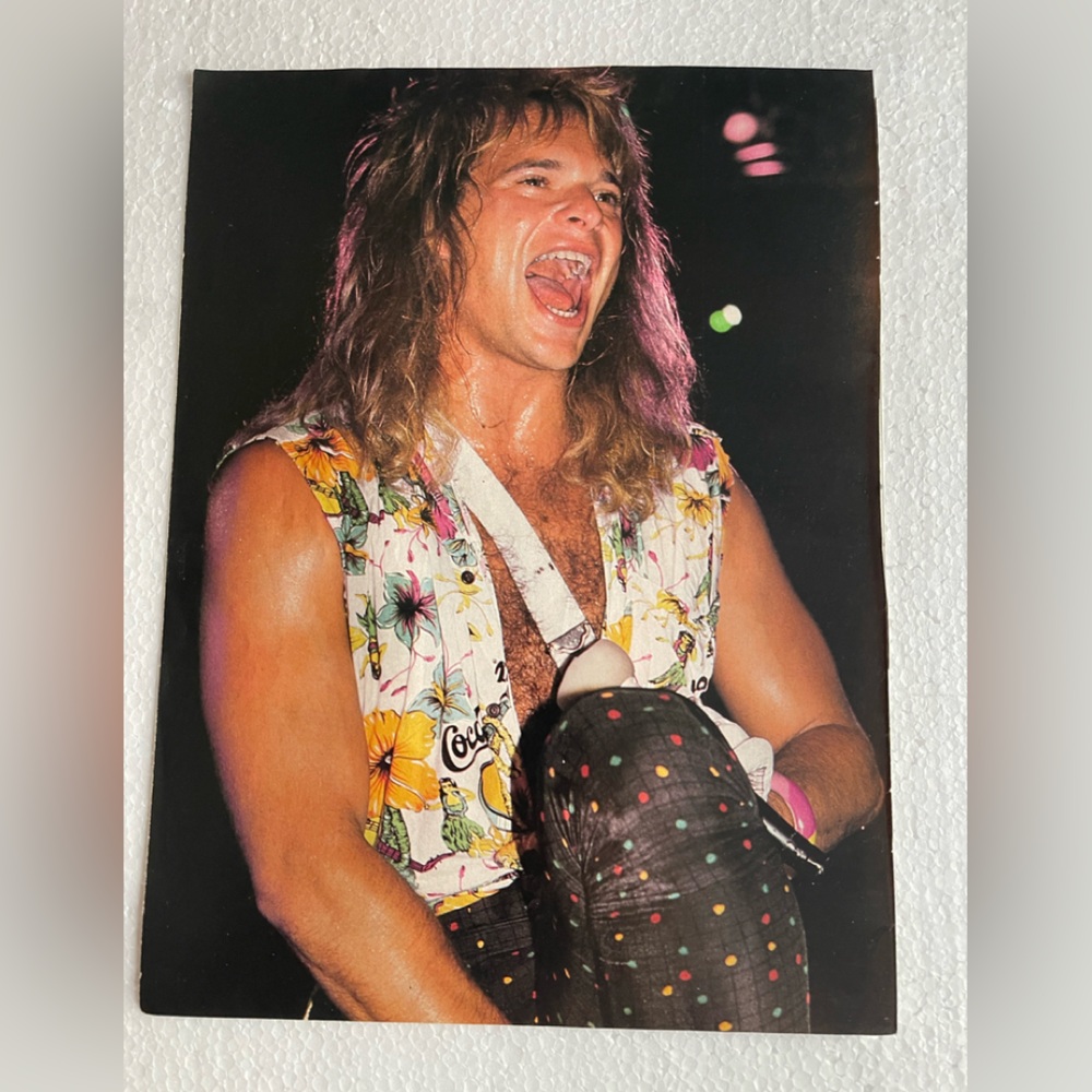 David Lee Roth pinup